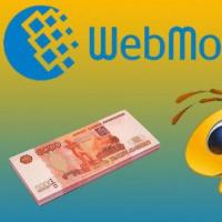 How to make money on Webmoney: real ways Earning webmoney in 1 hour