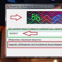 Renouvellement gratuit de la licence antivirus Kasperskiy Suspension de la protection de Kaspersky Gadget