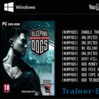 Trainer for sleeping dogs crashes